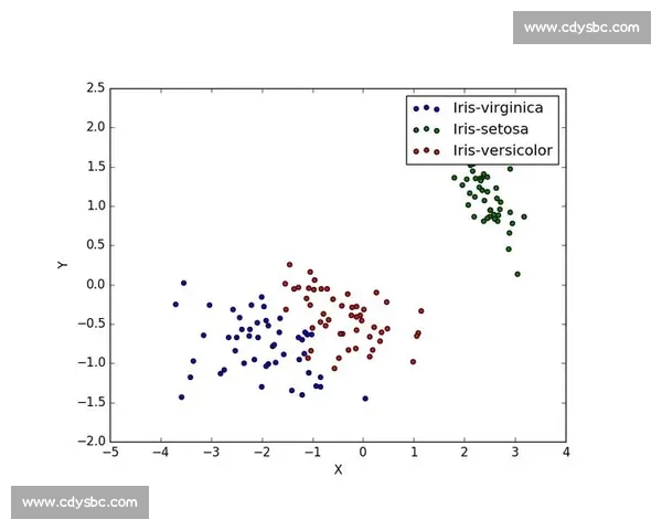 基于多维球队数据分析的竞技表现评估与战术优化研究