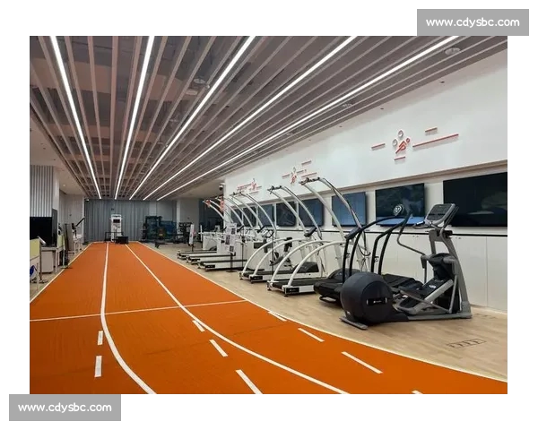 以体育综合平台为核心构建全民运动生态与数字服务新引擎体验价值 以体育综合平台为核心构建全民运动生态与数字服务新引擎体验价值