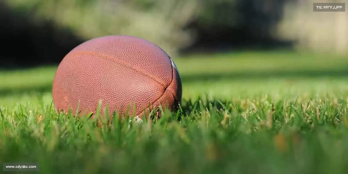 <strong>bsports官网红标</strong>🎾挥动球拍，追逐热爱 —— 每一次挥拍，都是梦想的回响！