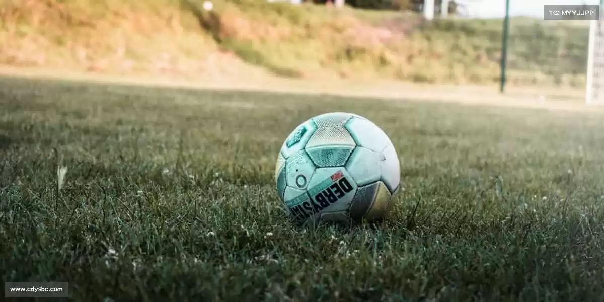 我们的品牌价值